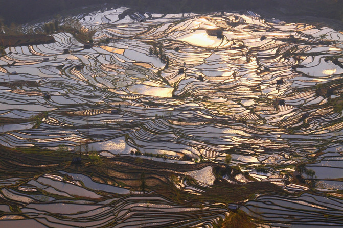昆明旅游网