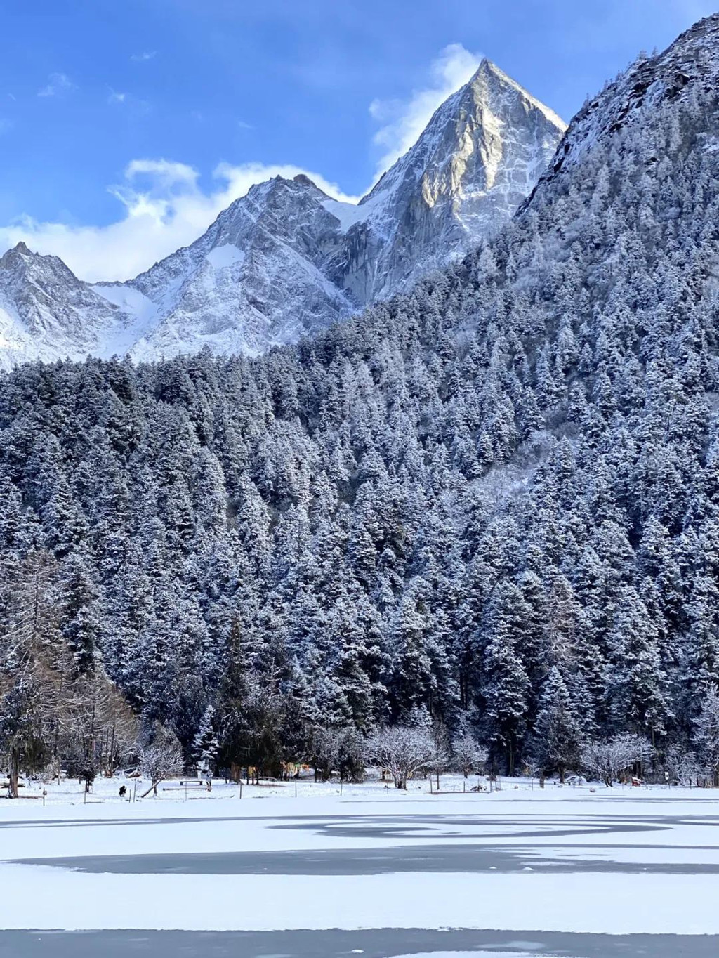 林海雪原图片大全图片