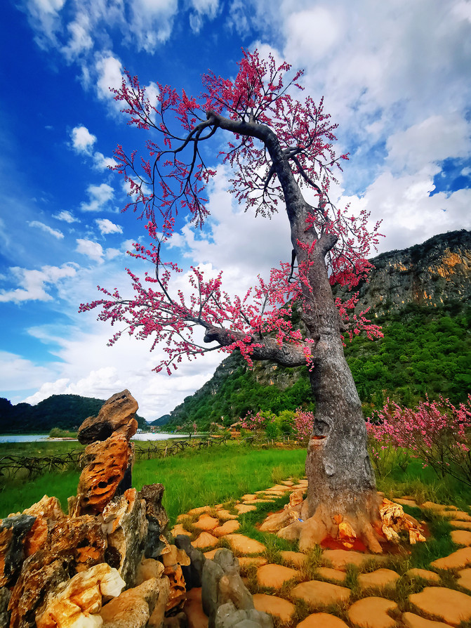 昆明旅游网