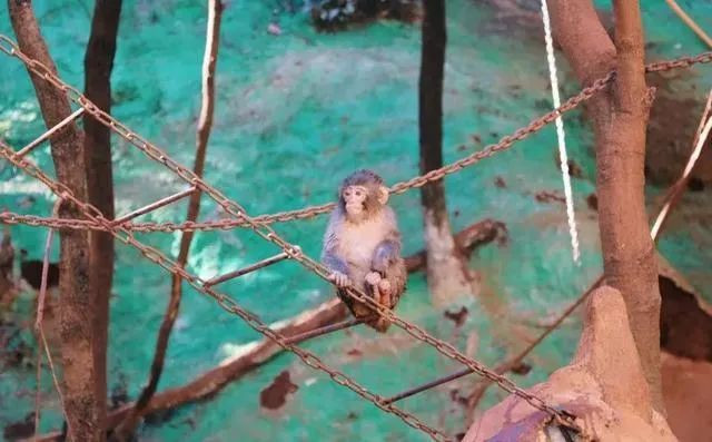 昆明旅游网