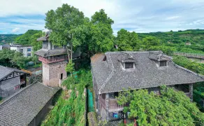 2-Day Yibin & Changning Tour: Farming Culture & Ancient Town Charm, Explore the Southern Sichuan Bamboo Sea
