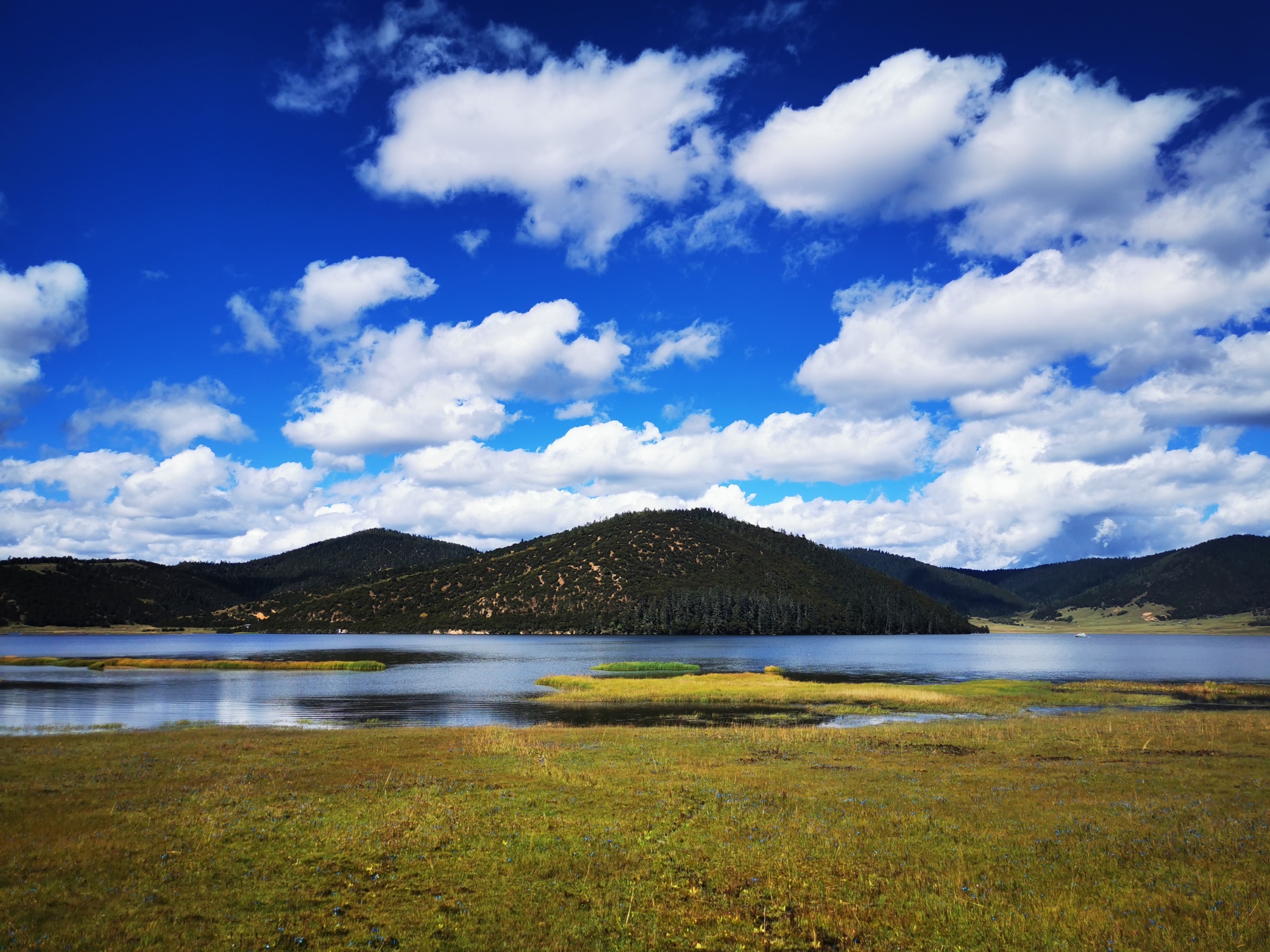 普达措国家公园高清图片