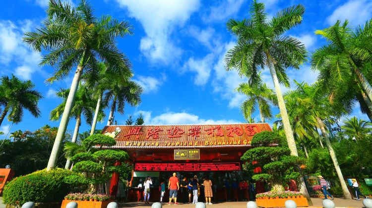 兴隆热带植物园