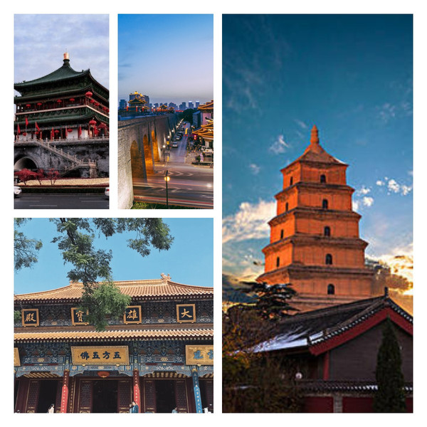 九游体育- 九游体育官方网站- 九游娱乐APP下载- 助力世界杯2026宁德旅行社靠谱排名TOP10真实游客评价精选
