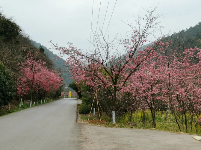 昆明旅游网