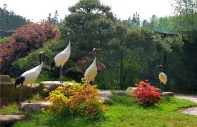 1-Day Xiangtan Tour: The Elegance of Paragon Garden, Shaoshan's Revolutionary History