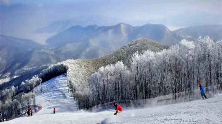 吉林市松花湖滑雪场游玩攻略 松花湖滑雪场 门票多少钱 价格表 团购票价预定优惠 景点地址在哪里 图片介绍 参观预约 旅游游览顺序攻略及注意事项 营业时间 携程攻略 吉林市松花湖滑雪场游玩攻略 松花湖滑雪场 门票多少钱 价格表 团购票价预定优惠 景点地址在哪里 图片介绍 参观预约 旅游游览顺序攻略及注意事项 营业时间 携程攻略