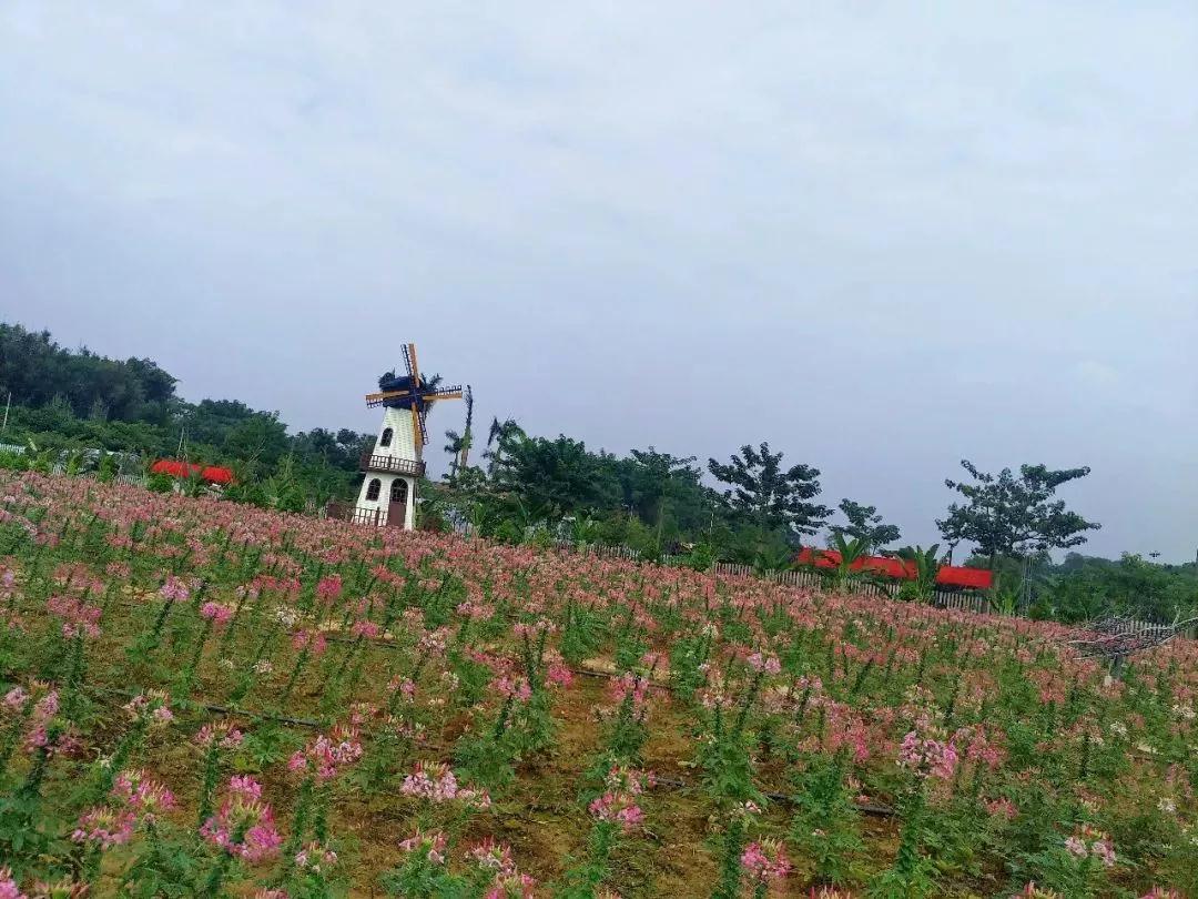 3-Day Zhaoqing Tour: Seven-star Crag and Ancient City Wall, Zhuhai Grand View's natural beauty