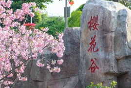 샤먼 5일 투어: 낭만적인 구랑위, 학구적인 샤먼대학(하문대학)