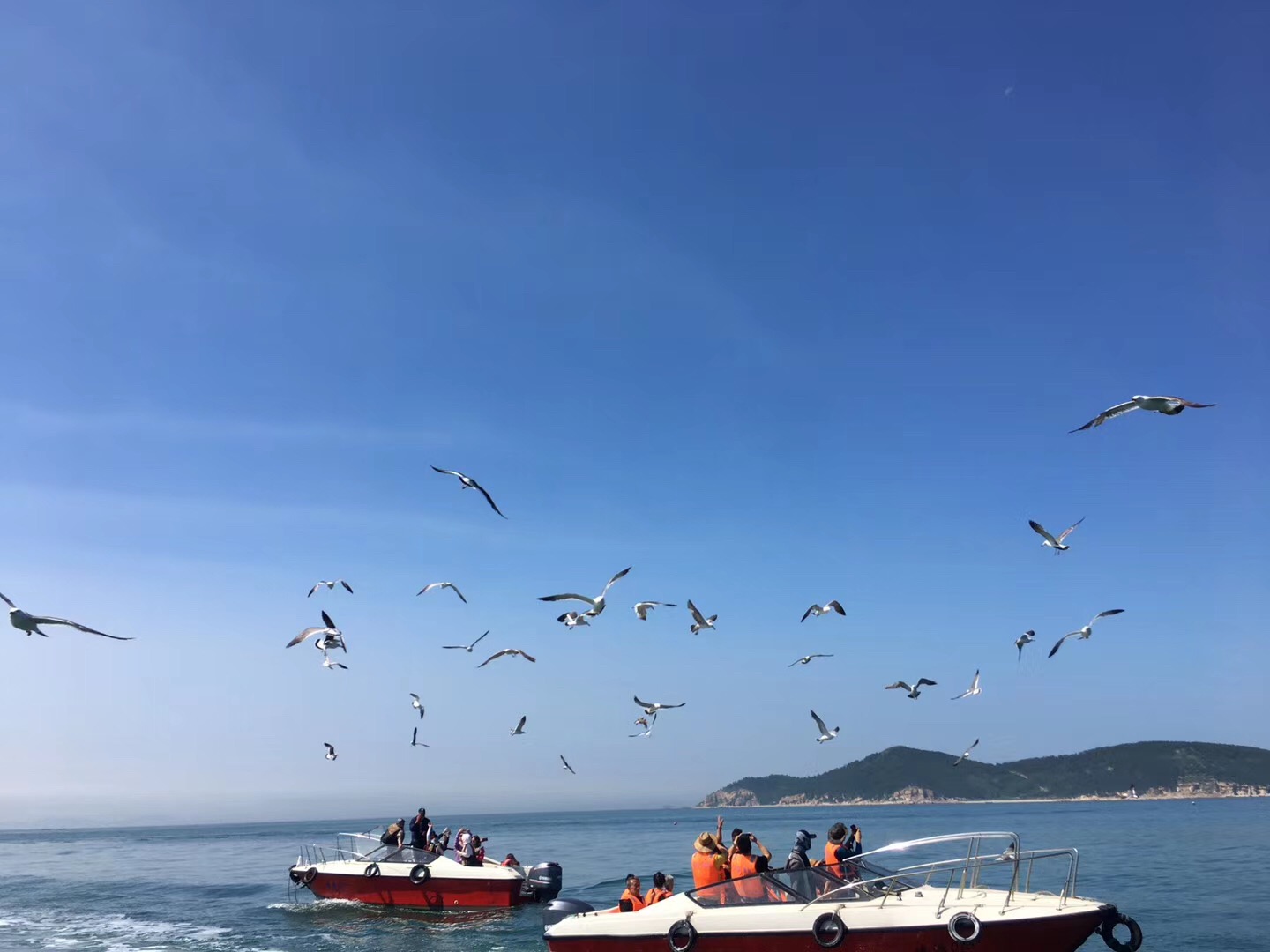 釣魚島海豹礁