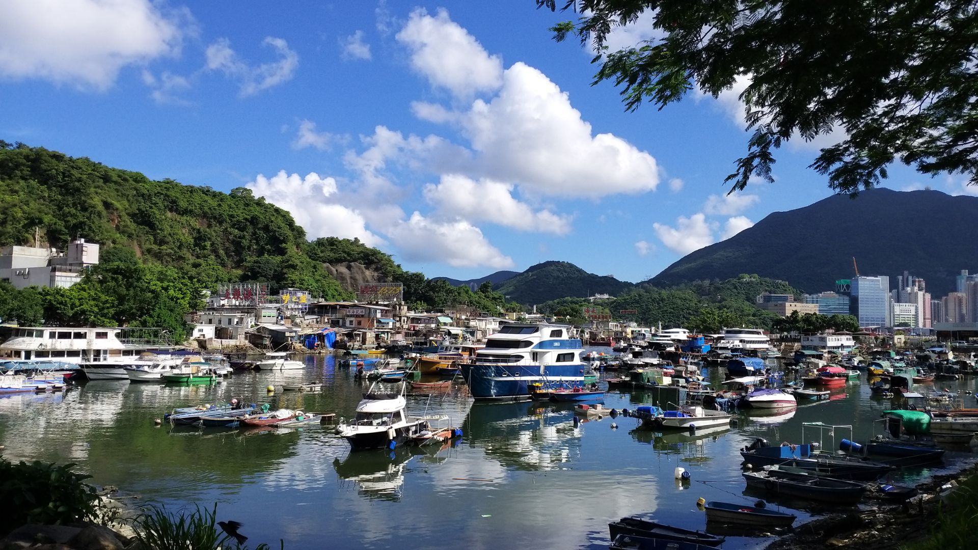 香港鲤鱼门海鲜城图片