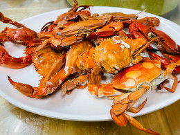 法库阿来海鲜楼攻略 阿来海鲜楼套餐 特色菜品推荐 菜单 人均消费 电话 地址 菜系 点评 营业时间 餐厅介绍 哪个菜好吃 携程美食 法库阿来海鲜楼攻略 阿来海鲜楼套餐 特色菜品推荐 菜单 人均消费 电话 地址 菜系 点评 营业时间 餐厅介绍 哪个菜好吃 携程美食