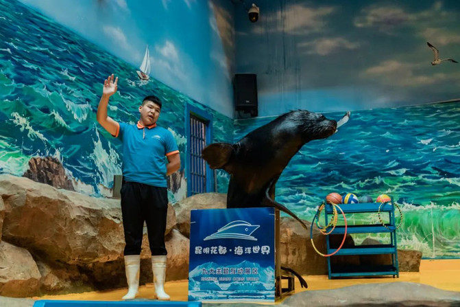 昆明旅游网