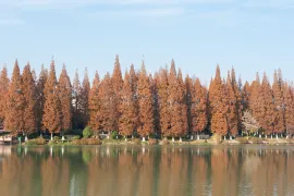 2-Day Xiangyang Tour: Explore Ancient Longzhong, Modern Charm of Fantasy Valley