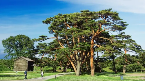 函館公園