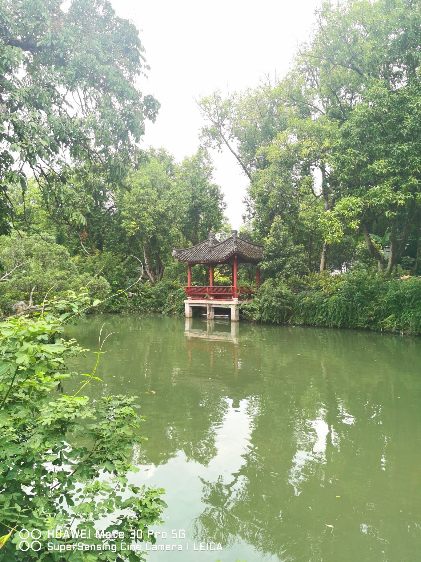 2021西湖公园玩乐攻略,夏季乘凉好像好去处,到处荷. 【去哪儿攻略】