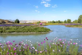 1-Day Linze Tour: Explore the Colorful Landscapes of Zhangye Danxia, Cultural Experience at Danxiakou