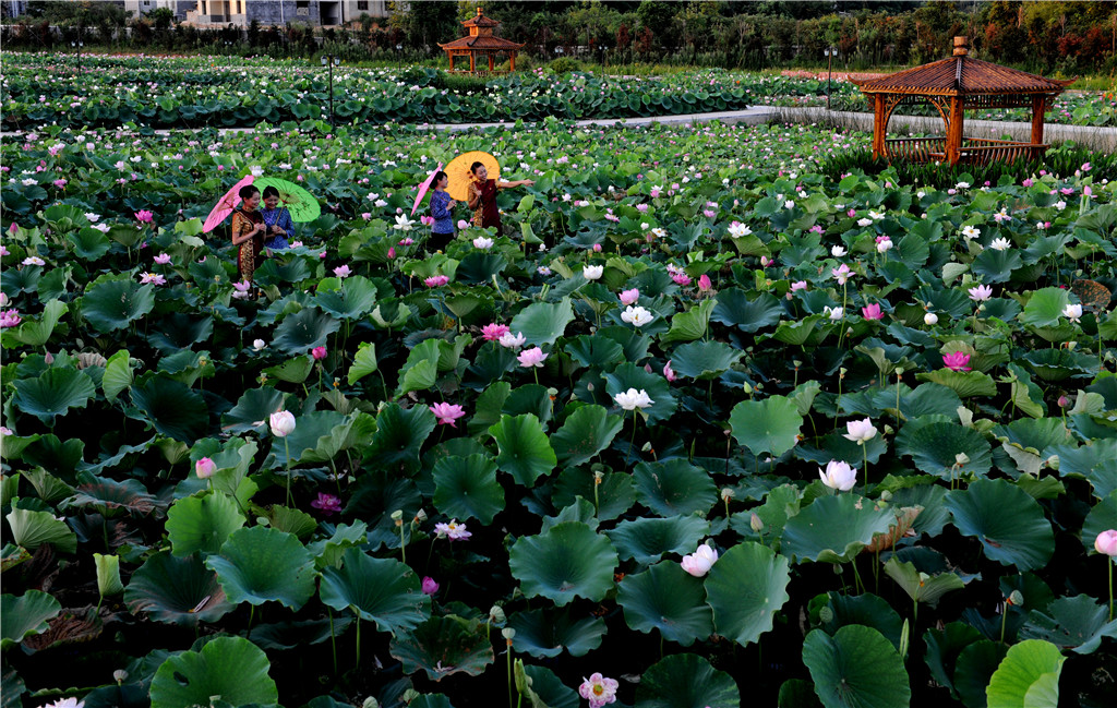 2-Day Xiangtan Tour: Historical Echoes of Mao Zedong's Former Residence, Natural Wonders of Dishui Cave