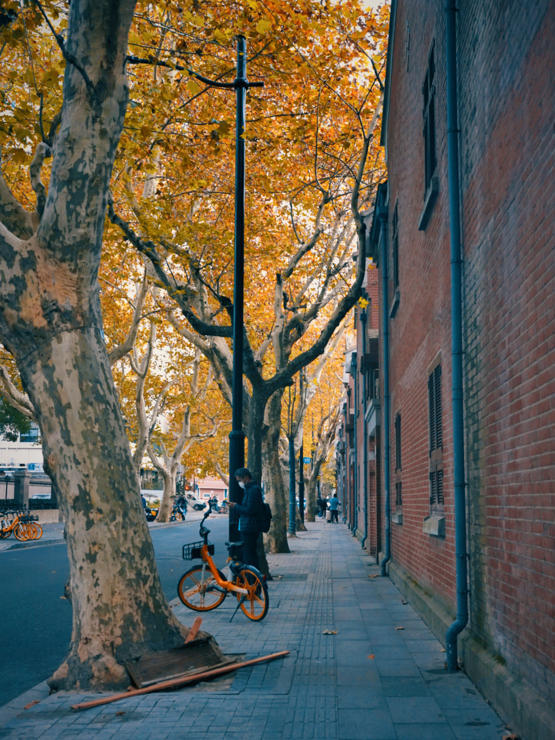 上海汾阳路好玩吗,上海汾阳路景点怎么样_点评_评价【携程攻略】