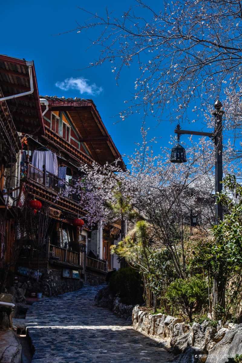 打卡司藤的取景地独克宗古城