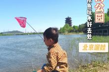 北京旅行 | 永定河畔免费玩水捞鱼