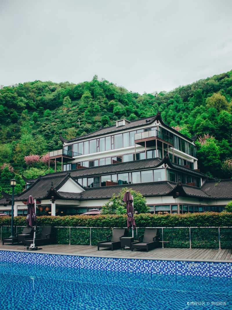 湖州旅行丨安吉涵田度假村住进出茶园里