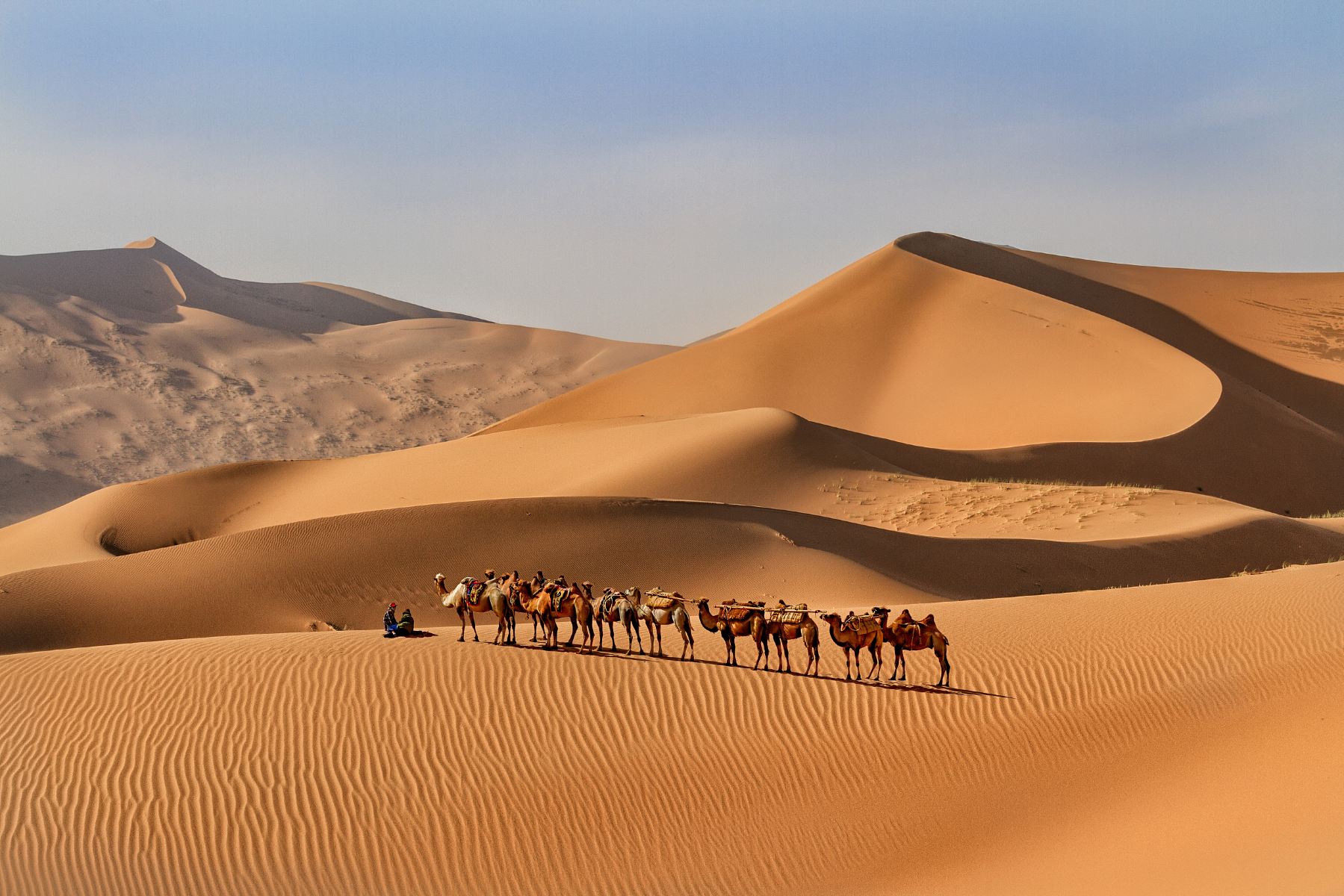 宁夏中卫|星辰沙海·奔赴腾格里大漠