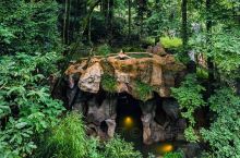 超美森林秘境温泉♨️丨天然氧吧丨避暑胜地