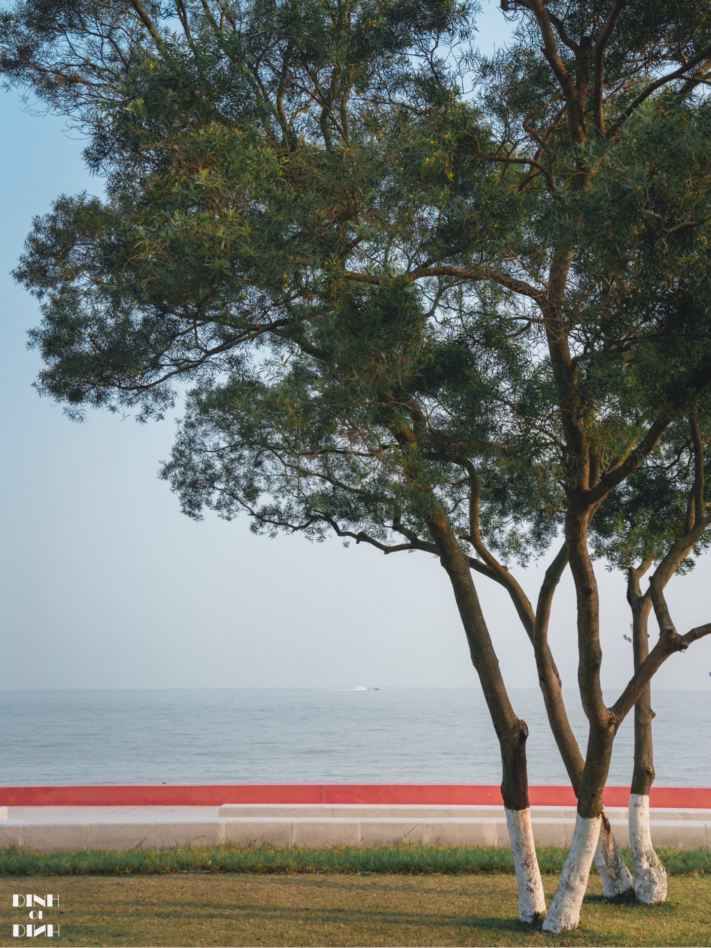 珠海淇澳南芒湾公园攻略-淇澳南芒湾公园门票价格多少钱-团购票价预定