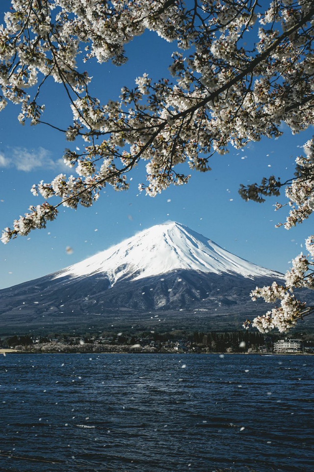 富士山之春【携程氢气球】