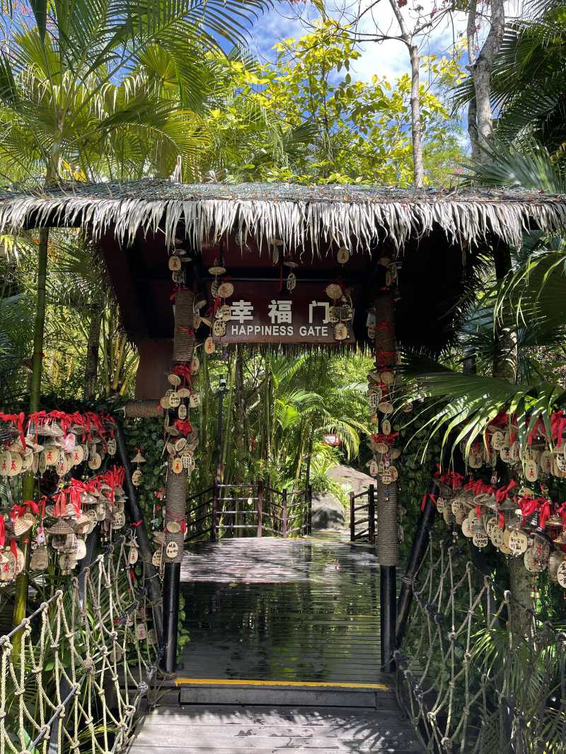 呀诺达热带雨林|每天一趟远方-携程攻略