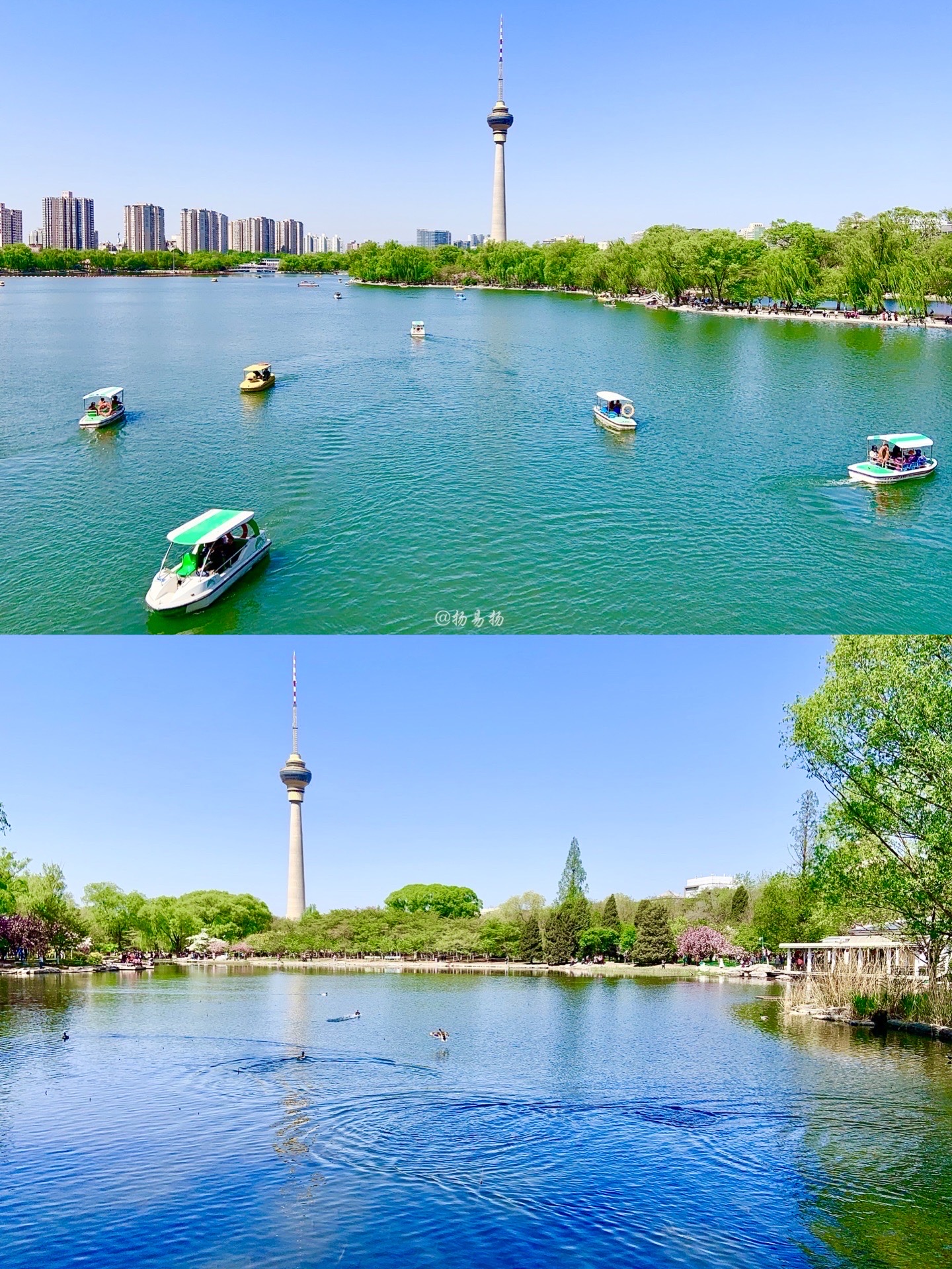 【携程攻略】北京玉渊潭公园景点, 一年一度的玉渊潭樱花节开幕有一段