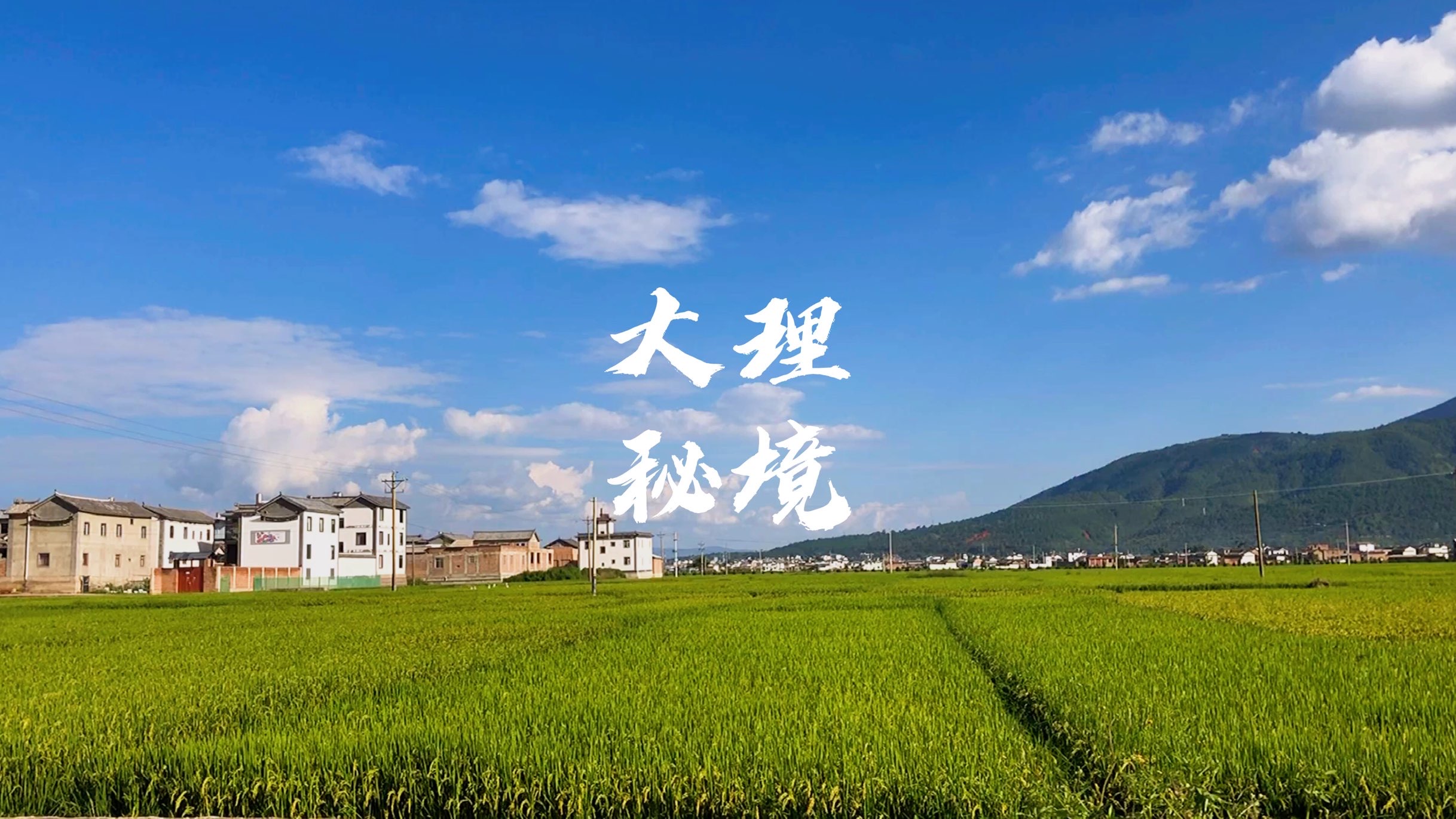 大理旅游住进闹中取静的龙龛村