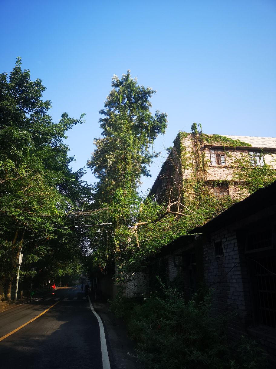镇文星场彭勇博物馆 暂无评分 景点地址 重庆市北碚区天府镇新富路5号
