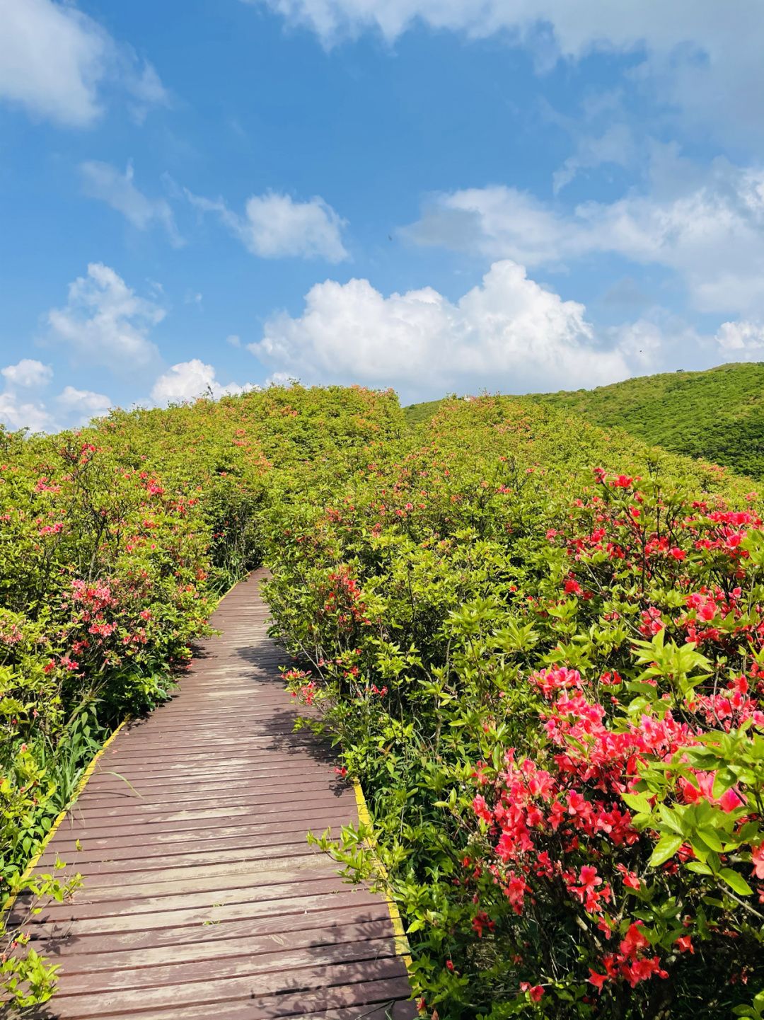 大围山国家森林公园