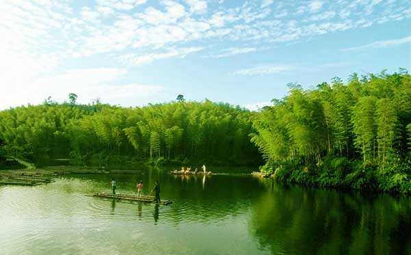 四川宜宾市长宁竹海自然保护区位于四川长宁县中南部地区2003年