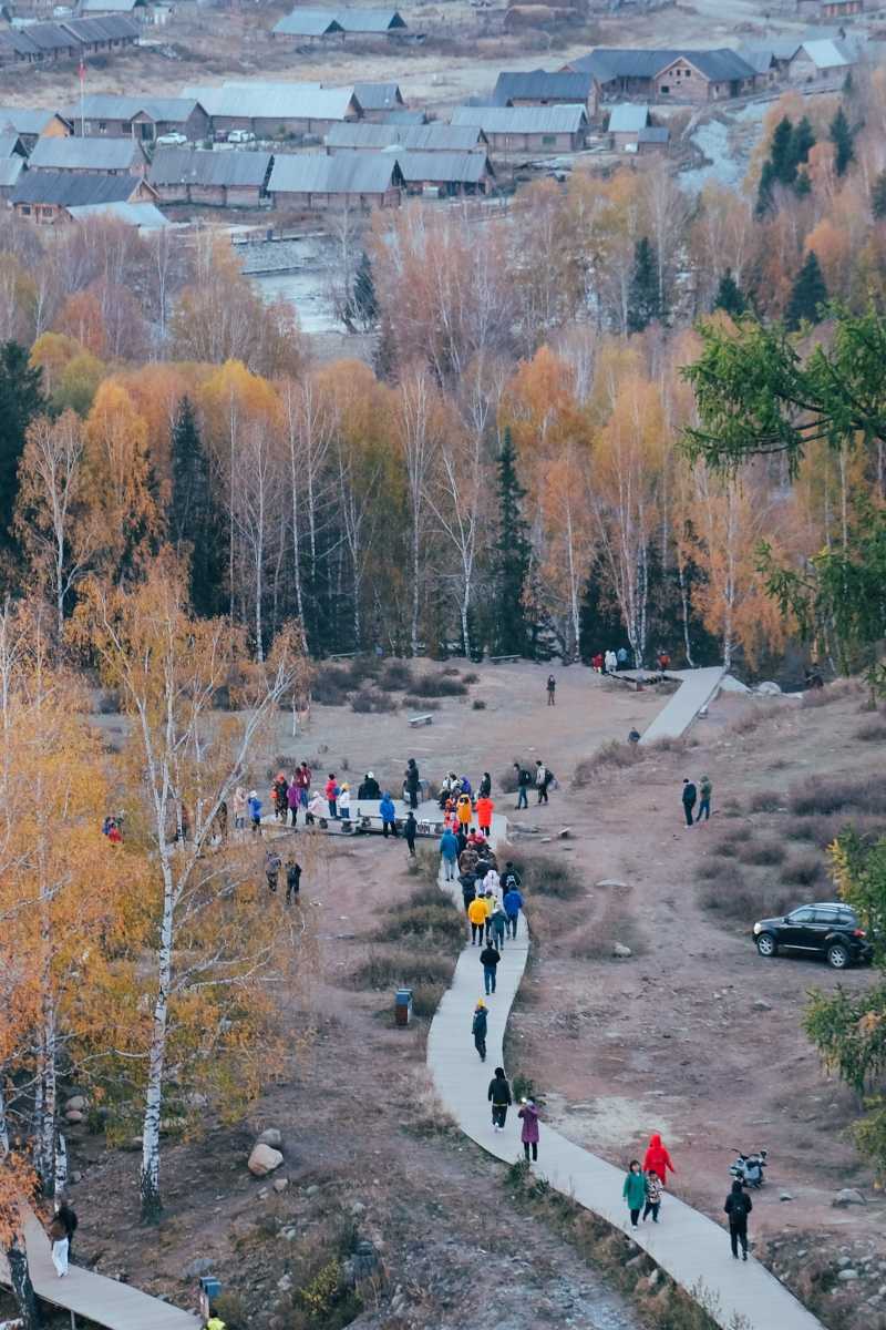 禾木村清晨去哈登平台