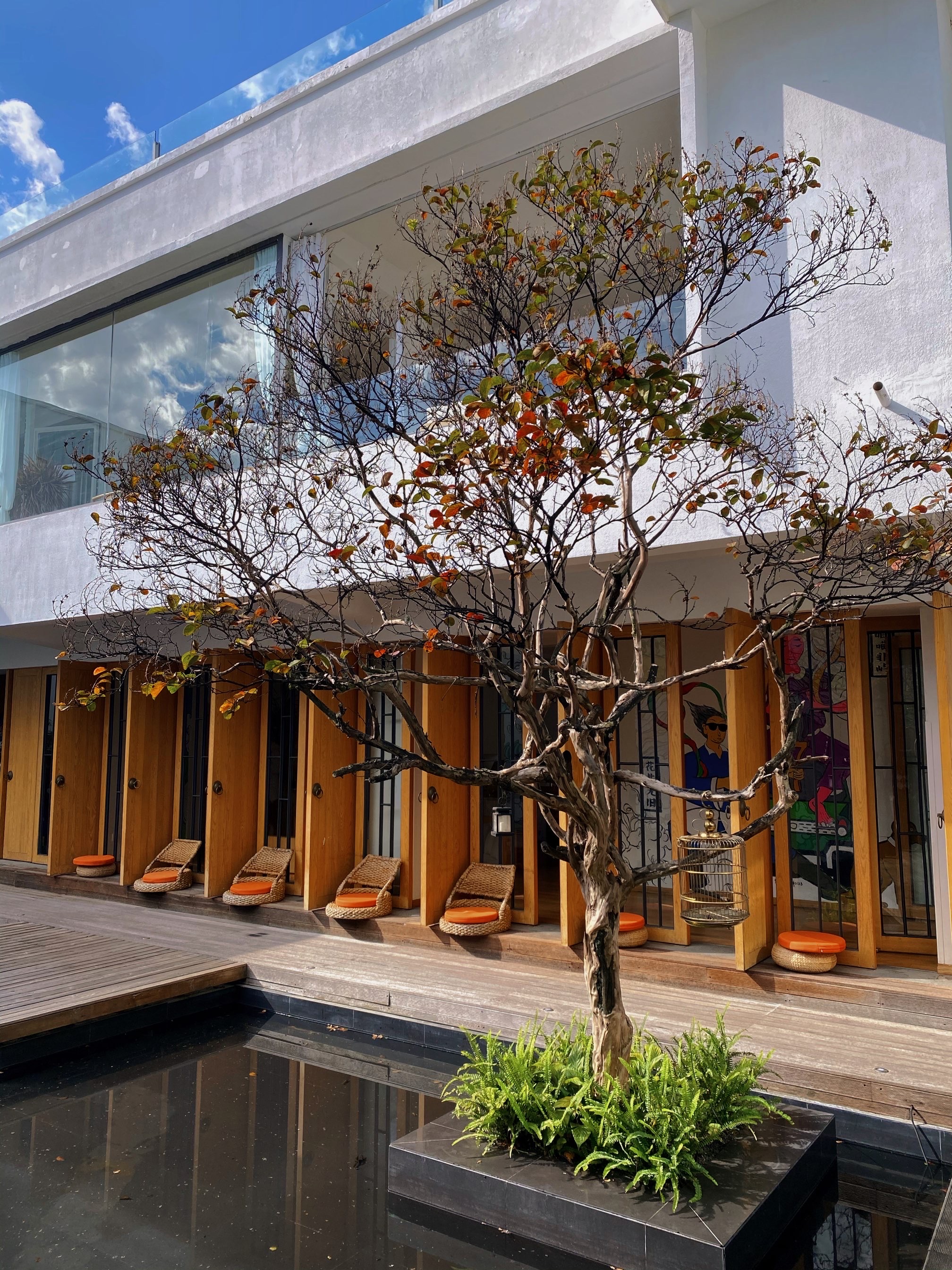 大理喜舍·清奢酒店·别处studio 2条点评 37/人 咖啡店 直线距离 100