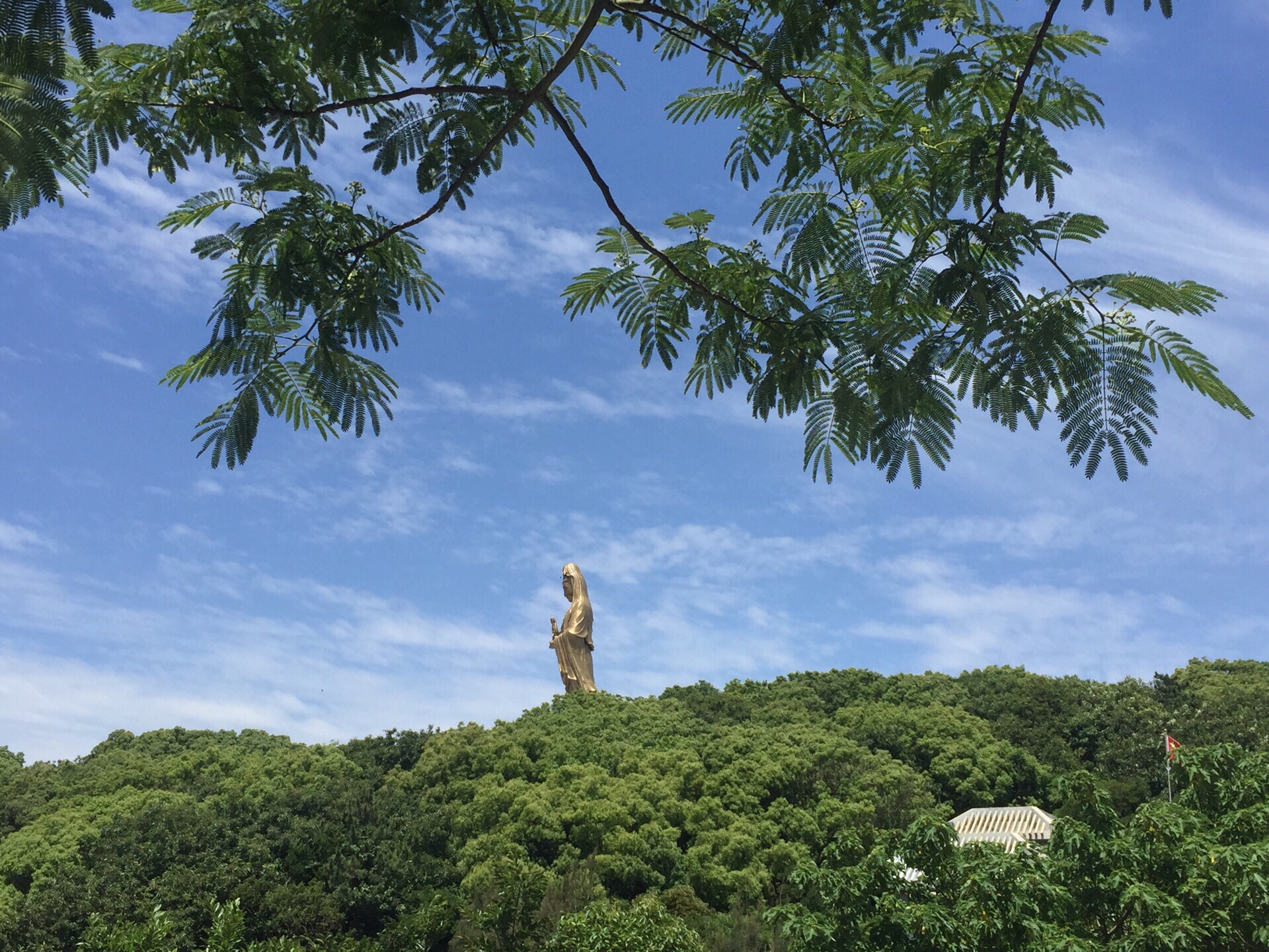 1紫竹林景区 去普陀山可以看紫竹林,紫竹林是一个有历史典故的景点