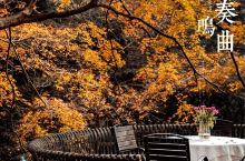 莫干山攻略🍁 最美赏秋绝不容错过
