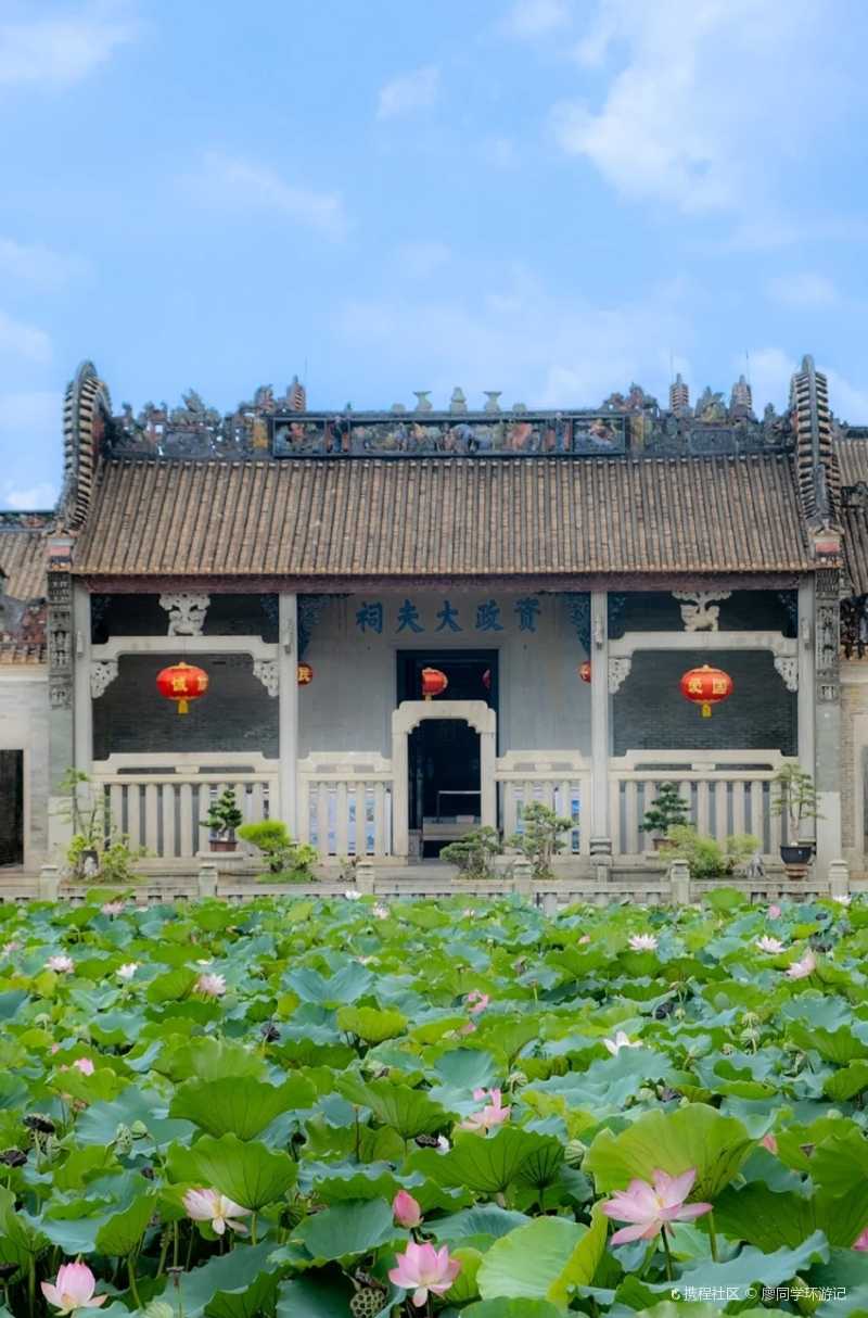 广州花都资政大夫祠荷花开 赏岭南山水园林-携程攻略