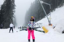 保加利亚滑雪