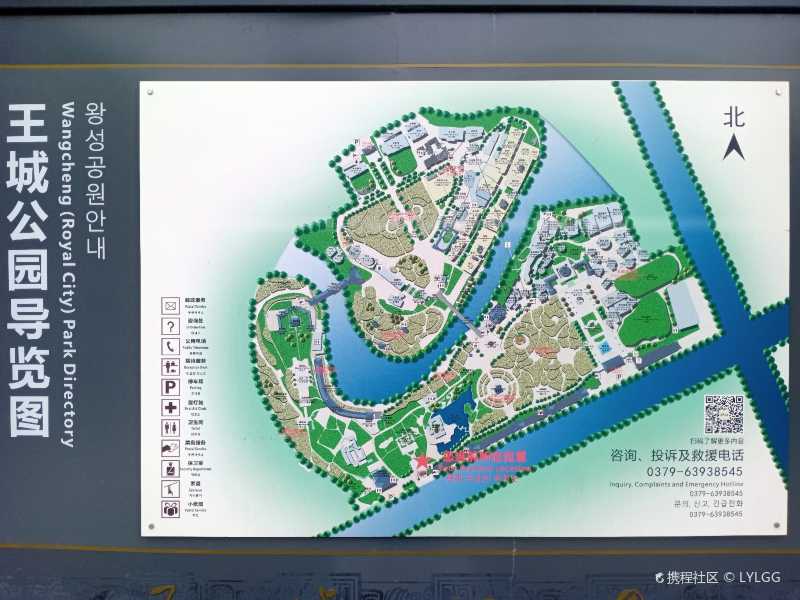 2021一场跨越四季的河南寻花之旅