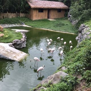 珠海南屏观音庙攻略-南屏观音庙门票价格多少钱-团购票价预定优惠