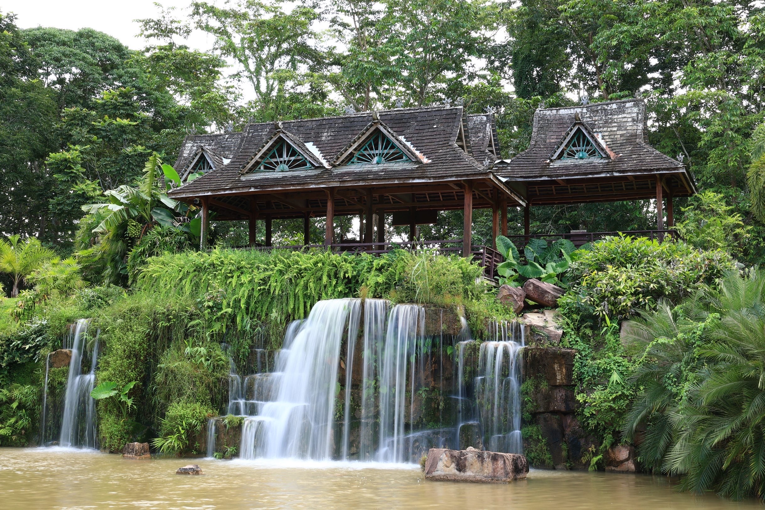 中科院西双版纳热带植物园