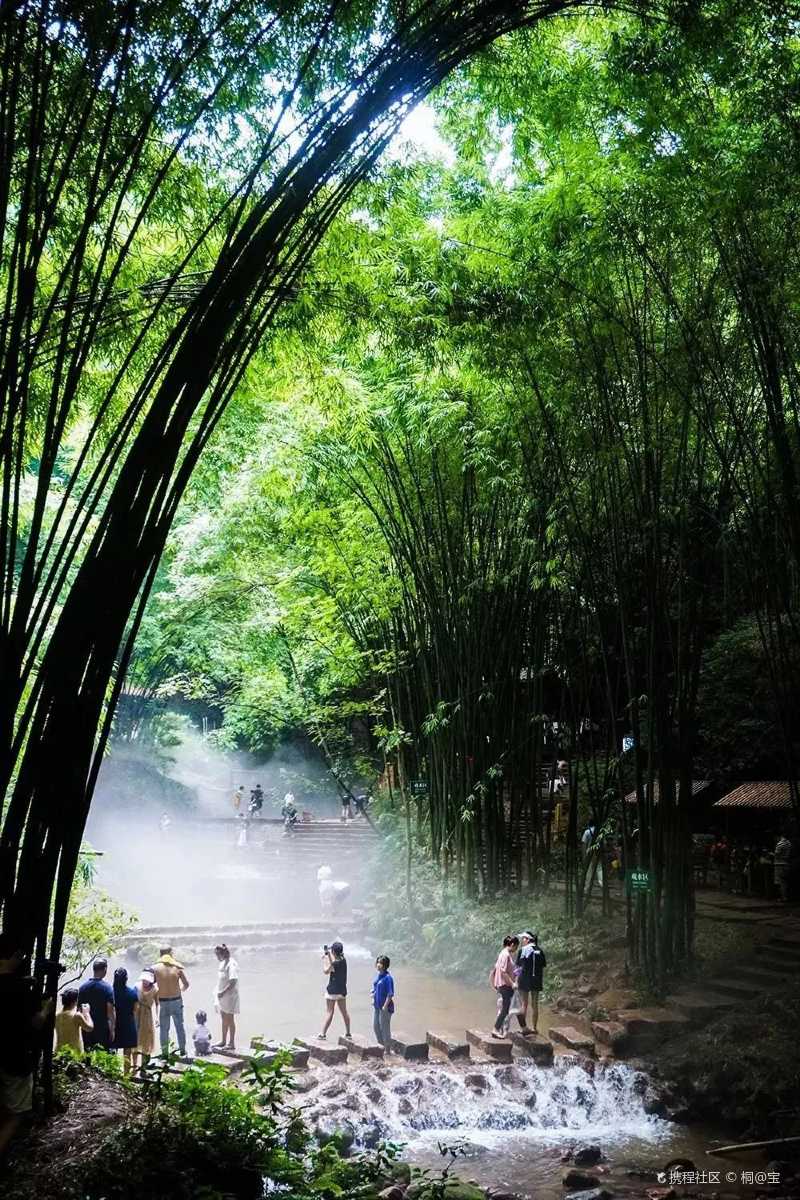 美拍成都邛崃仙气缭绕的竹海洗肺