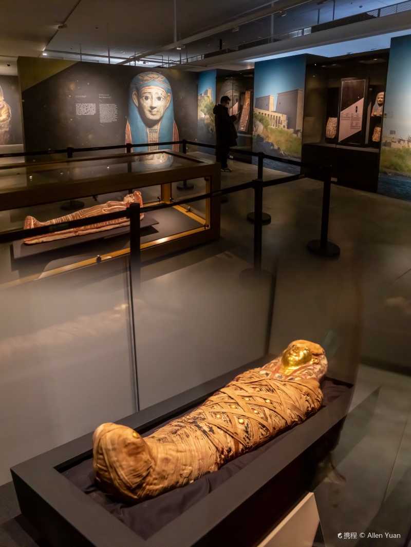 上海看展遇见黄金木乃伊2000年古埃及