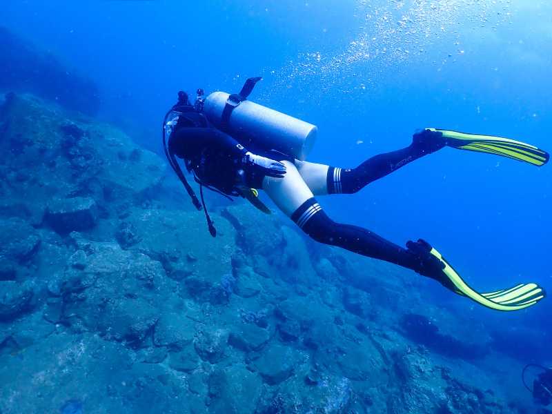 想和你一起闯入森林潜入海底,去体验去冒险去热爱!点击左下角来一次