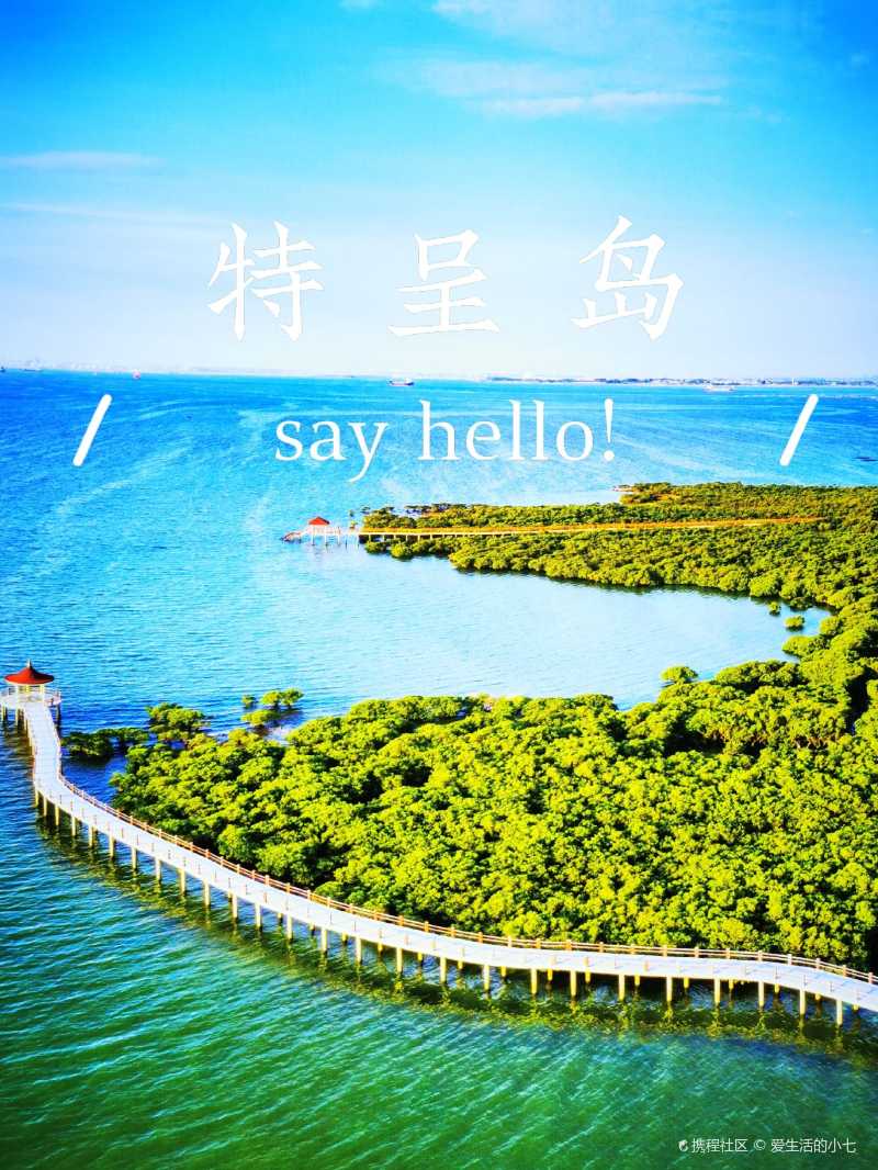 湛江湾中的一座小离岛【特呈岛】-携程攻略