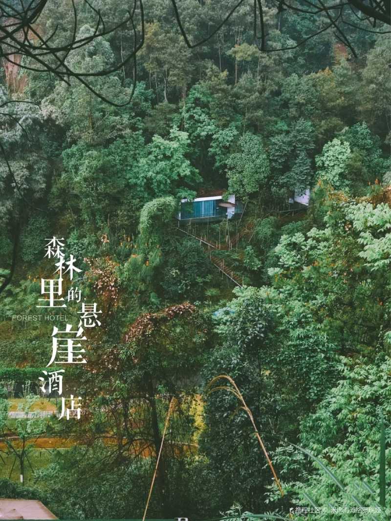 成都周边游藏在乐山森林里的悬崖酒店
